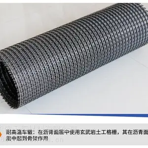 河南郑州市矿用PP塑料土工格栅 甘肃煤矿塑料护帮网
