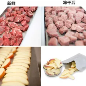 辽宁肉类冻干设备多少钱一套 服务为先 临朐易泽环保科技供应