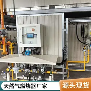 回转窑管式加热炉天然气烧嘴转炉煤气天然气燃烧器源头厂家岱鼎