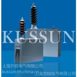 大量供应高压电容BFM11-100-1GW