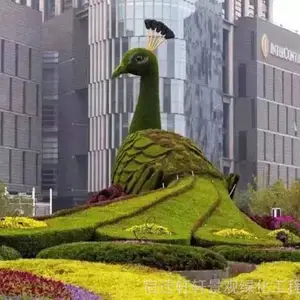 ѩ�еĿ�ͨ�̵� ���� �ݵ� ���ͷ����̵�������������