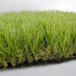 1.5cm���ܱ��������ƺΧ�� ��Ѹɸ��ѧУ��̨��̺�ص�����ƺ����
