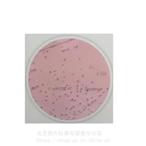 SCIENTZ-11无菌均质器