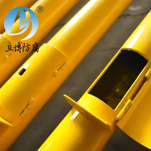 立博防腐 埋地不锈钢测试桩 CS-5 可定制多种规格 可开票