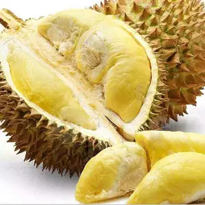���ڻʸڿڰ�������ڱ�������