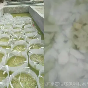 ʯ������������мس�ʯȥ�ۼ��������ߵ�����