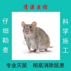��Դ���С�����������β���������������