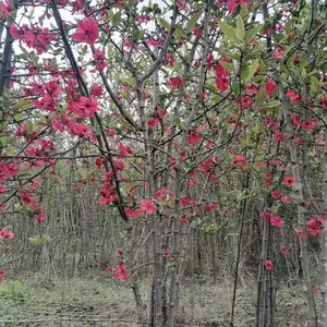 ���������������� 2�׸��������� 3�׸������������� ���ź���