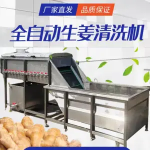 2025款大姜清洗机,瑞宝全自动洗姜机,大批量姜清洗设备
