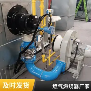 天然气燃烧器烧嘴燃烧系统燃气 天然气燃气加热烧嘴源头厂家岱鼎