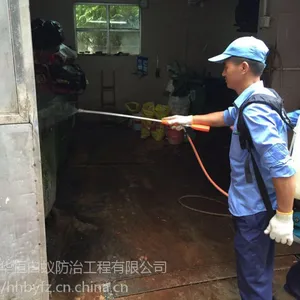 番禺桥南市桥上灭治清理死老鼠白蚂蚁服务