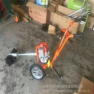 ����186�ͳ��������� ����������԰������ 11����������ͼƬ
