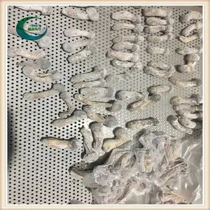 �㶫��������ʽҺ���ٶ������� ����Һ���ٶ��豸�ۺ�����