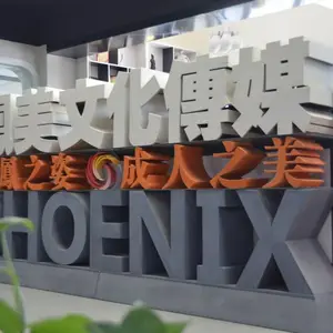 山东凤美文化传媒有限公司