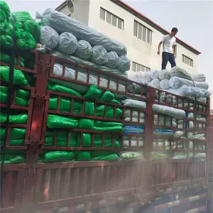 ������������/������������������