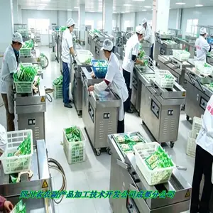 保鲜青花椒设备 花椒加工设备 鲜花椒生产设备 木山3型 低温锁香锁麻