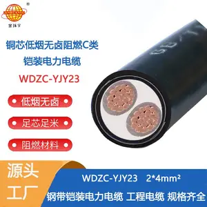金环宇电缆WDZC-YJY23-2X4平方无卤低烟阻燃电缆 2芯铠装电缆