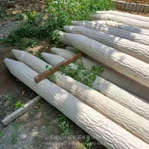 15cm������ˮ���ľ׮Ԥ��Բ����ľ׮�������Ụ�·�ľ׮