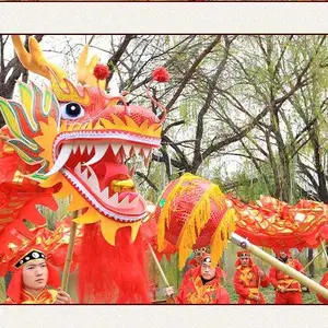 广州舞龙出租耍龙灯开场表演节目龙身龙尾服装道具晚会公司年会