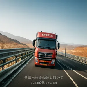 ���е��ٺ��л���ר��2024�㵣���췢��
