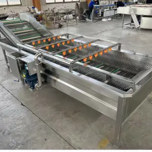 全自动气泡喷淋大葱清洗机 小龙虾清洗线 果蔬土豆去泥清洗机 气泡高压喷淋清洗设备