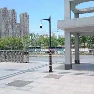 4米监控立杆,灯谷DG-037八角监控杆,防雨防雷防锈