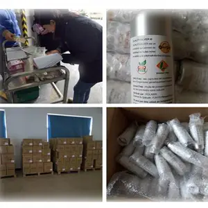 食品进口报关代理-上海伯斯卡 运输代理-眉山报关代理