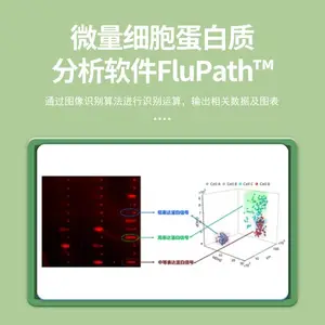 ��ϸ�����׷����� Western Blot ΢�������ʶ�������