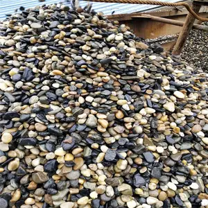 荣茂彩色鹅卵石厂家 景观摆放 滴水檐 公园铺路鹅卵石规格齐全