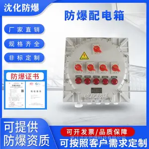 IIC级防爆接线箱 碳钢材质电源开关箱 非标定制照明动力配电箱