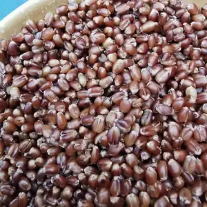 2025 �»������� 500g ũ������ȫ����� ��������ĥ�� ��������