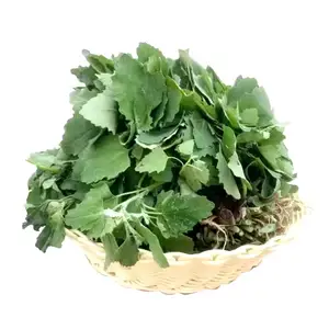 西安生鲜蔬菜配送供应商,阎良区蔬菜配送APP平台