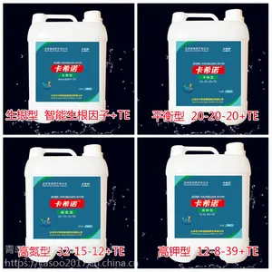 小麦播种时,这八大错误,很多人都会犯!-卡希诺