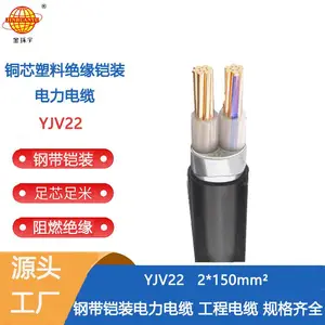 金环宇电缆 YJV22 2X150平方 2芯电缆 铜芯硬线铠装电缆 定做