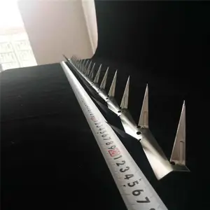 ��п��Ŵ̶� С��Ժǽ�����̶� ��������������