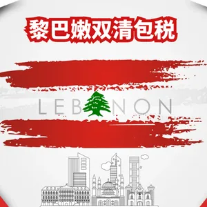 中国到黎巴嫩快递空运海运电商小包专线双清关包税门到门DDP货代