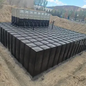 �������ص���ʽһ�廯������վ BDF���϶�п��װ��ʽ����ˮ��