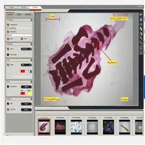 Leica LAS Web Share Module-�⿨���繲����ʵʱͼ��鿴