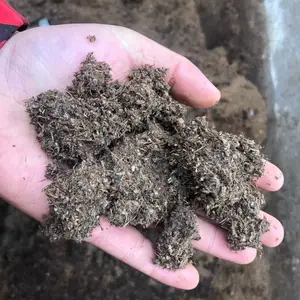 ��԰Ӫ����������Ȼ��̿�����������ʶ��⻨����ֲ��̿��