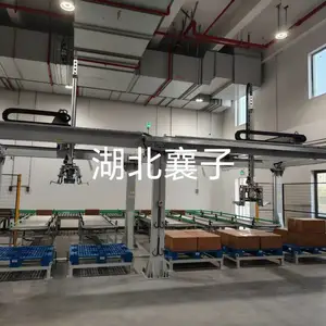 纸箱码垛桁架机械手