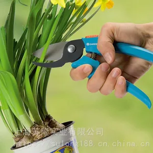 �¹����ڼζ���8754��֦����ͥ԰��԰�չ����̻�������֦����ժ��