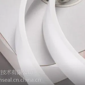 戈尔膨体四氟带GORE S500