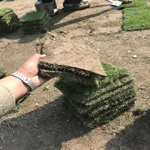 ���ݹ�����Ƥ ���ݰ�˳��Ƥ ����ˮ��Ƥ