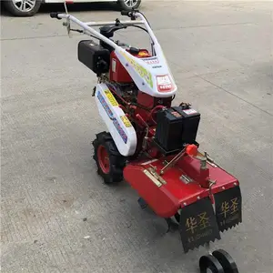 ��ݮ����¢�� �������ֿ���������