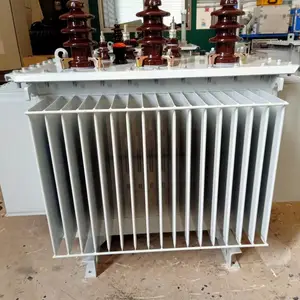 S11-100KVA/20��2*2.5/0.4 20KV�ͽ�ʽ��ѹ�� ��о ����