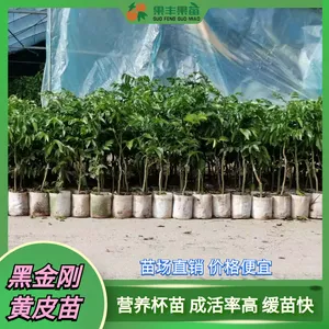����Ʒ�����ۺڻ�Ƥ�硢�ڽ�ա�������_������