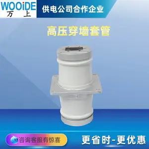���� 10KV��ѹĸ��ʽ��ǽ�׹� CM-10/90-160��ɫ�մ��׹�CMW-20