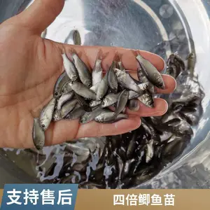 �۷�ˮ���������������� �ٲ��� ����ת��***��������