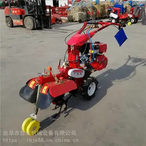 С�Ͳ�ݮ��¢������/�¿�ũ�ò�԰����������/��лƽ�������