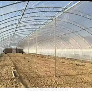 镀锌双膜大棚骨架 温室大棚骨架 双拱双膜大棚骨架安装 智能蔬菜大棚